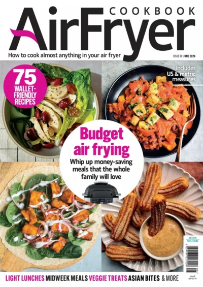 Air Fryer Cookbook 2024 08
