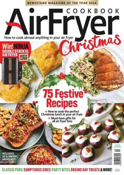 Air Fryer Cookbook 2024 10