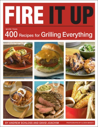 Andrew Schloss David Joachim Fire It Up 2011