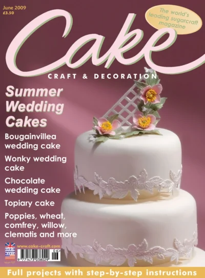 Cake Craft Decorating 2009 06