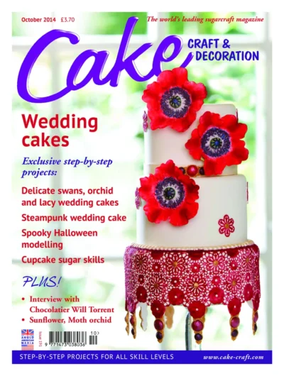 Cake Craft Decorating 2014 10