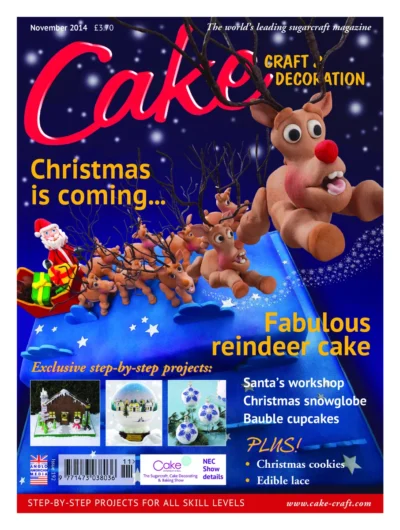 Cake Craft Decorating 2014 11