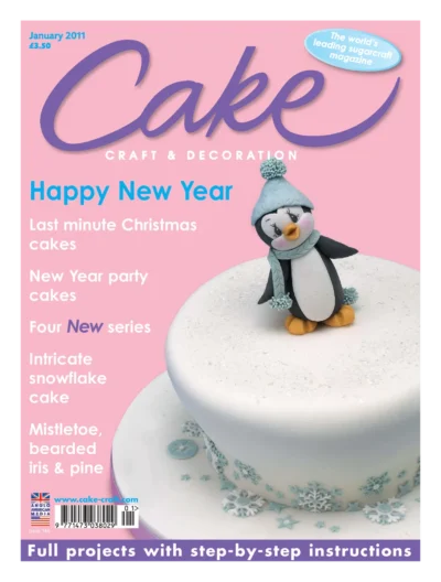 Cake Craft Decoration 2011 01