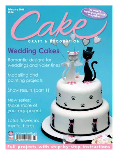Cake Craft Decoration 2011 02