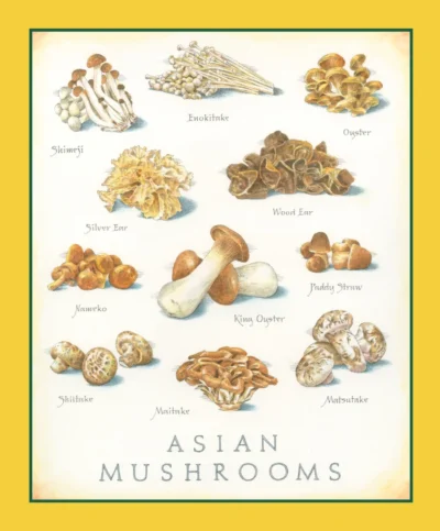 Cook S Illustrated 166
