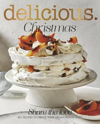 Delicious Cookbooks Christmas 2022