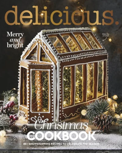 Delicious Cookbooks Christmas 2024