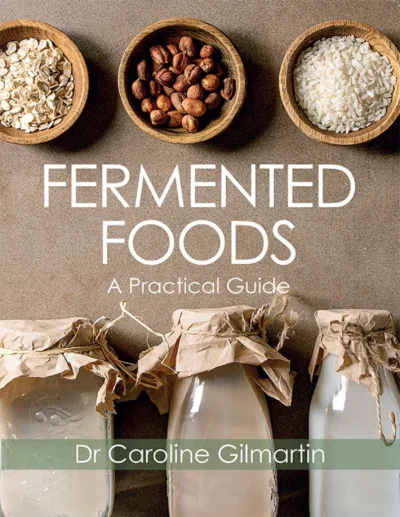 Gilmartin C Fermented Foods 2020