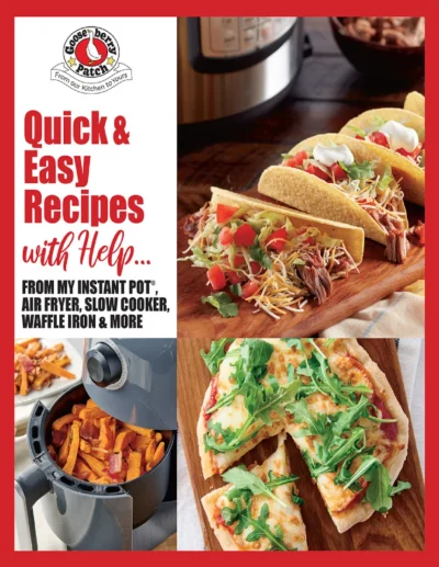 Quick Easy Recipes With Help 2022