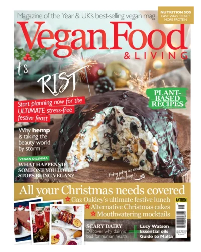 Vegan Food Living 2018 11