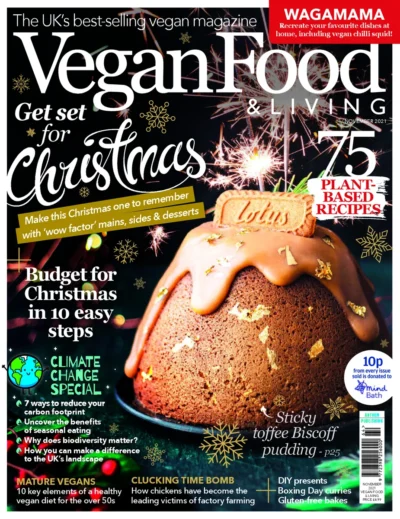 Vegan Food Living 2021 11
