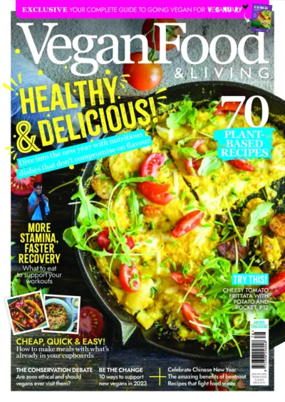Vegan Food Living 2023 01