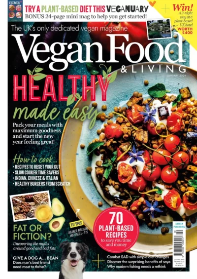 Vegan Food Living 2024 01