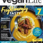 Vegan Life 2020 64