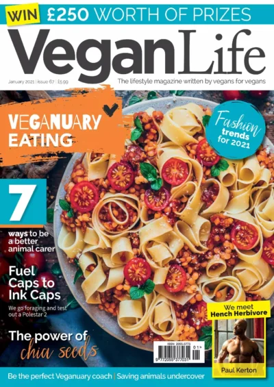 Vegan Life 2021 67