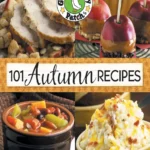 Vickie Hutchins Joann Martin 101 Autumn Recipes 2010
